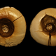 Imagen: Stefano Benazzi / American Journal of Physical Anthropology